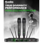 AE 600EQ 2 Channel Wireless Microphone