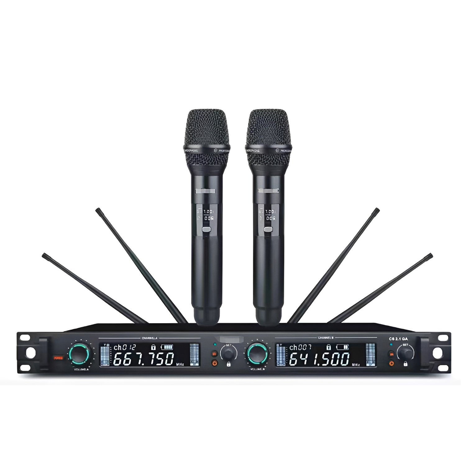 DG 8807 2 Channel Wireless Microphone