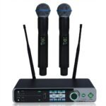DL 300EQ 2 Channel Wireless Microphone