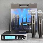 DM 100 2 Channel Wireless Microphone
