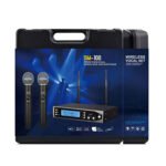 DM 100 2 Channel Wireless Microphone