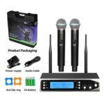 DM 100 2 Channel Wireless Microphone
