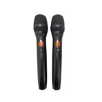 LK 220 2 Channel Wireless Microphone